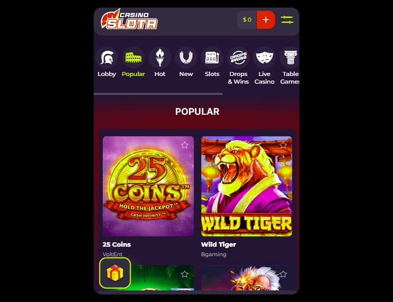 Slota Casino Erfahrungen – Ein- und Auszahlungen: Methoden, Limits und Wartezeiten